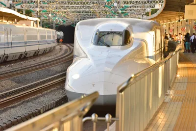 DSC_3787 (Large).JPG